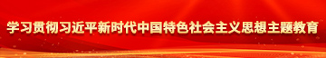 免费操鸡巴黄片视频学习贯彻习近平新时代中国特色社会主义思想主题教育